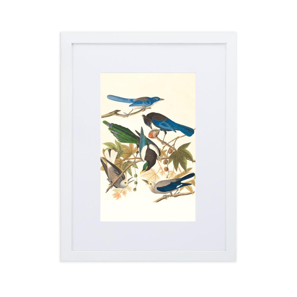 fünf Vögel auf den Ästen - Poster im Rahmen mit Passepartout weiß / 30×40 cm artlia