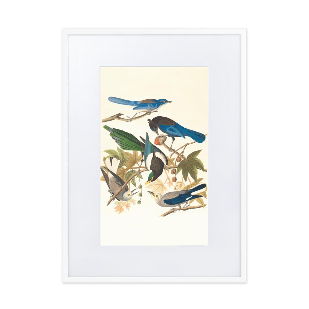 fünf Vögel auf den Ästen - Poster im Rahmen mit Passepartout weiß / 50×70 cm artlia
