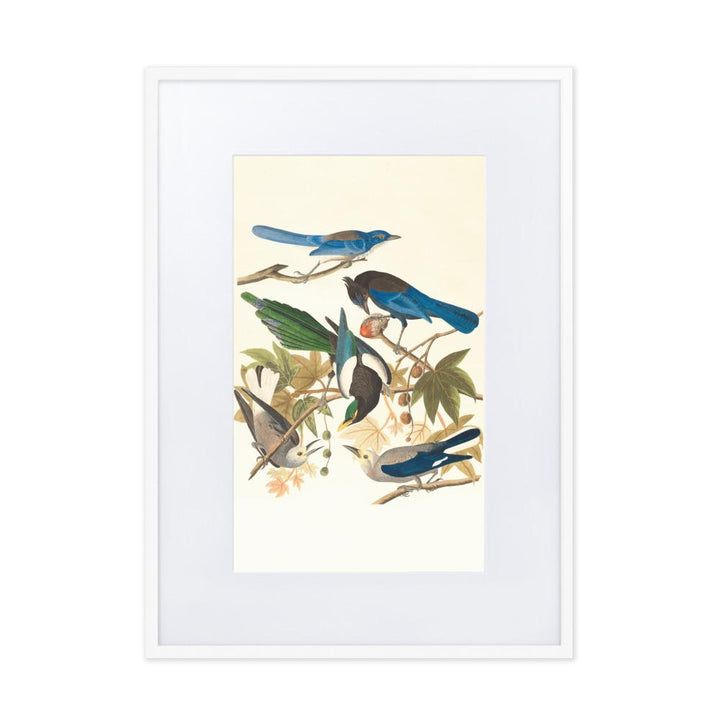 fünf Vögel auf den Ästen - Poster im Rahmen mit Passepartout weiß / 50×70 cm artlia