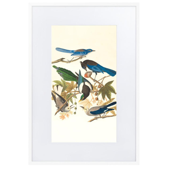 fünf Vögel auf den Ästen - Poster im Rahmen mit Passepartout weiß / 61×91 cm artlia