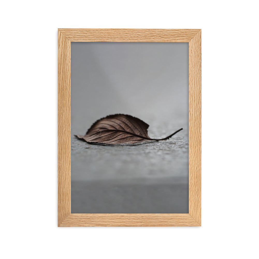 gefallenes Blatt - Poster im Rahmen Oak / 21×30 cm artlia