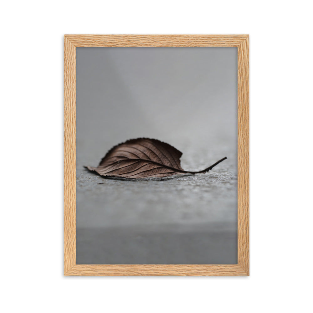 gefallenes Blatt - Poster im Rahmen Oak / 30×40 cm artlia
