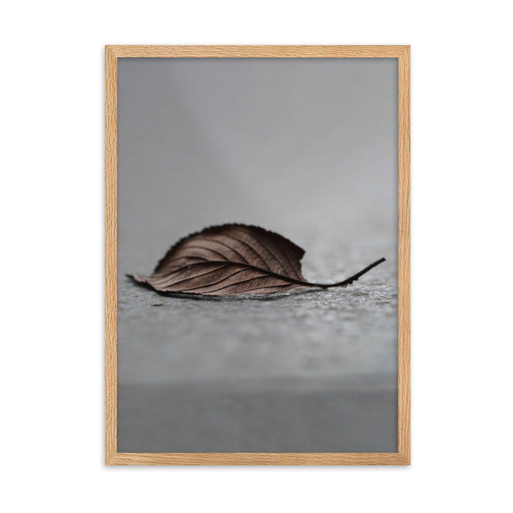 gefallenes Blatt - Poster im Rahmen Oak / 50×70 cm artlia