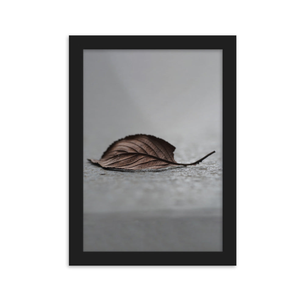 gefallenes Blatt - Poster im Rahmen Schwarz / 21×30 cm artlia