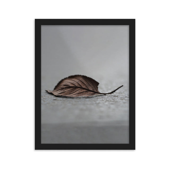 gefallenes Blatt - Poster im Rahmen Schwarz / 30×40 cm artlia