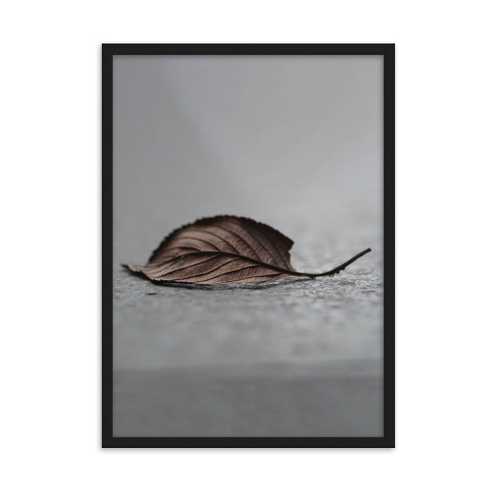 gefallenes Blatt - Poster im Rahmen Schwarz / 50×70 cm artlia