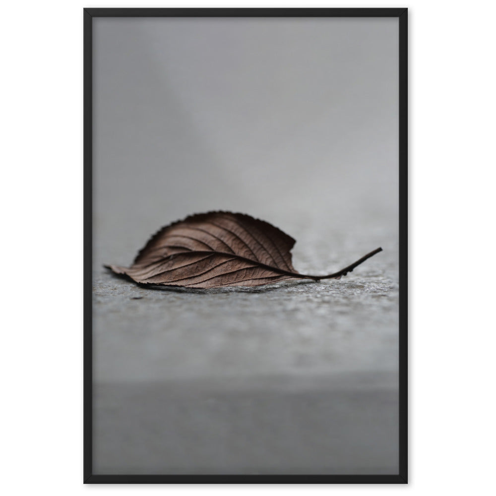 gefallenes Blatt - Poster im Rahmen Schwarz / 61×91 cm artlia