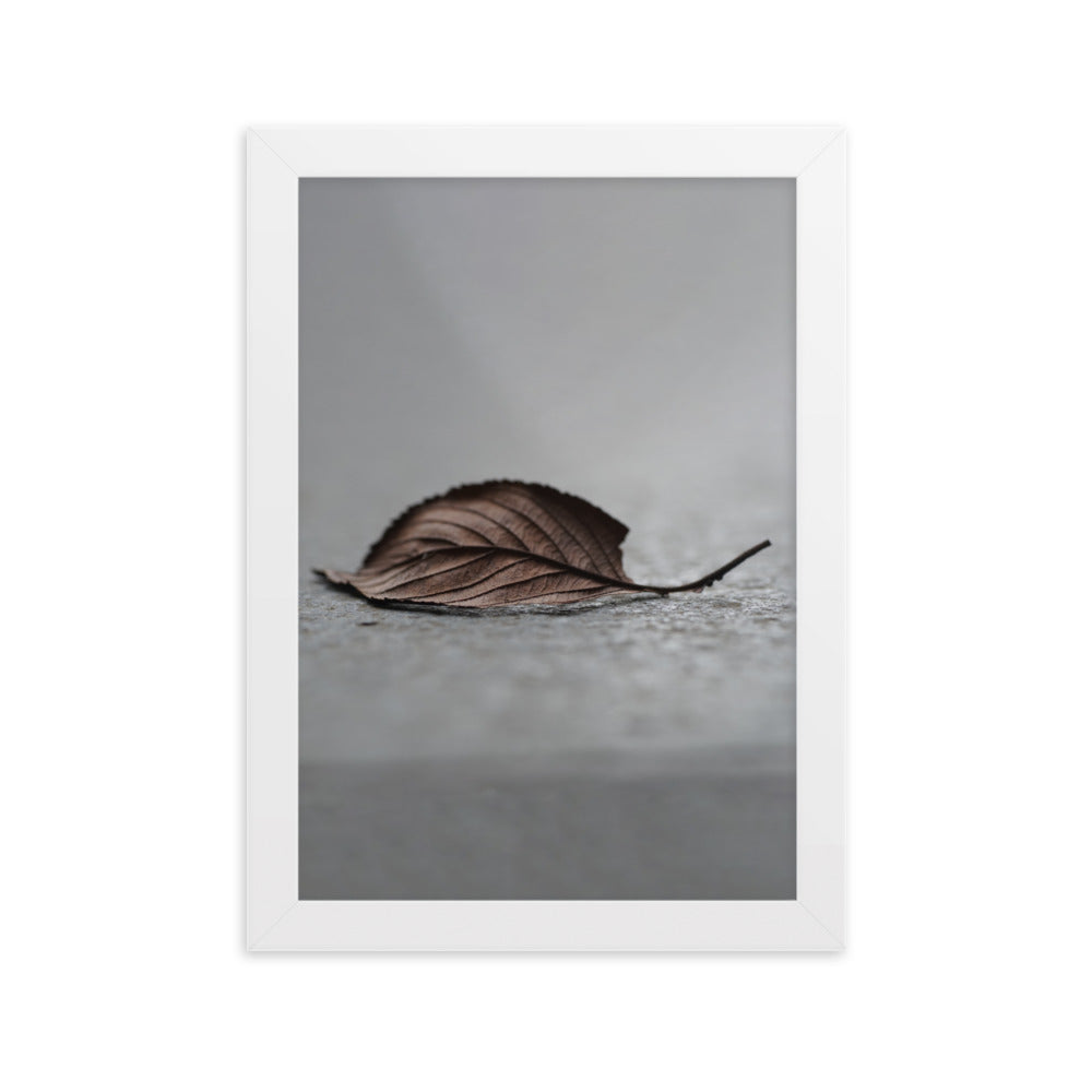 gefallenes Blatt - Poster im Rahmen Weiß / 21×30 cm artlia