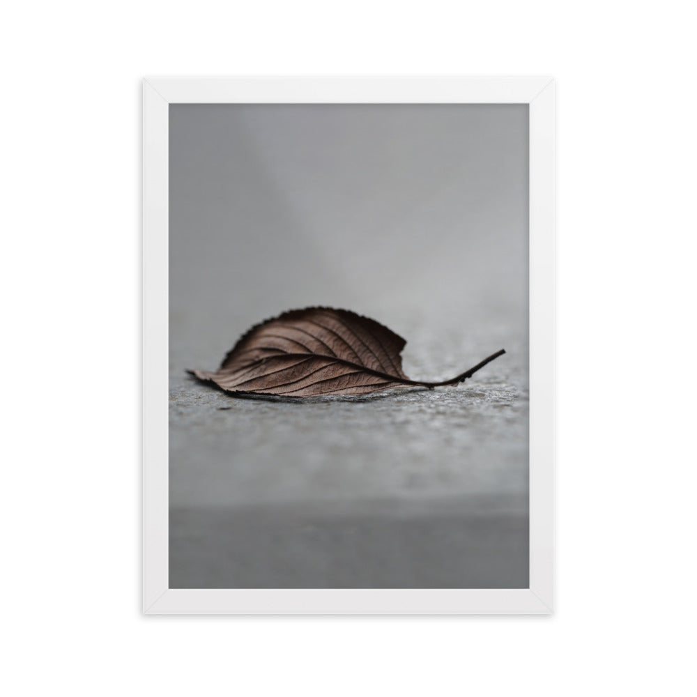 gefallenes Blatt - Poster im Rahmen Weiß / 30×40 cm artlia