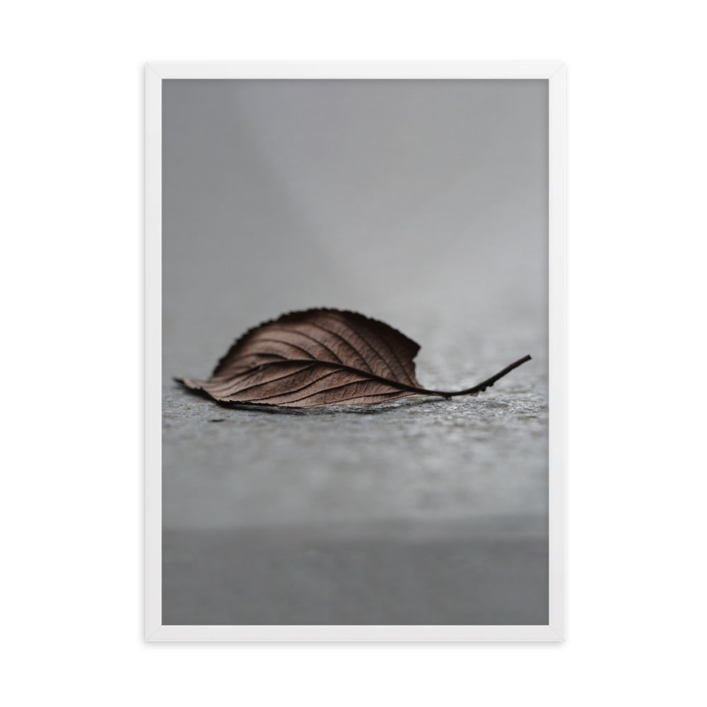gefallenes Blatt - Poster im Rahmen Weiß / 50×70 cm artlia