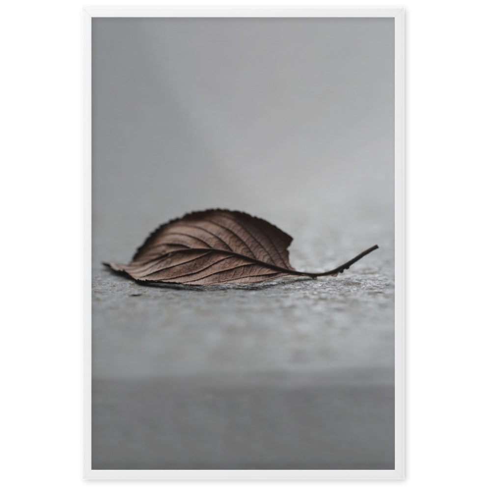 gefallenes Blatt - Poster im Rahmen Weiß / 61×91 cm artlia