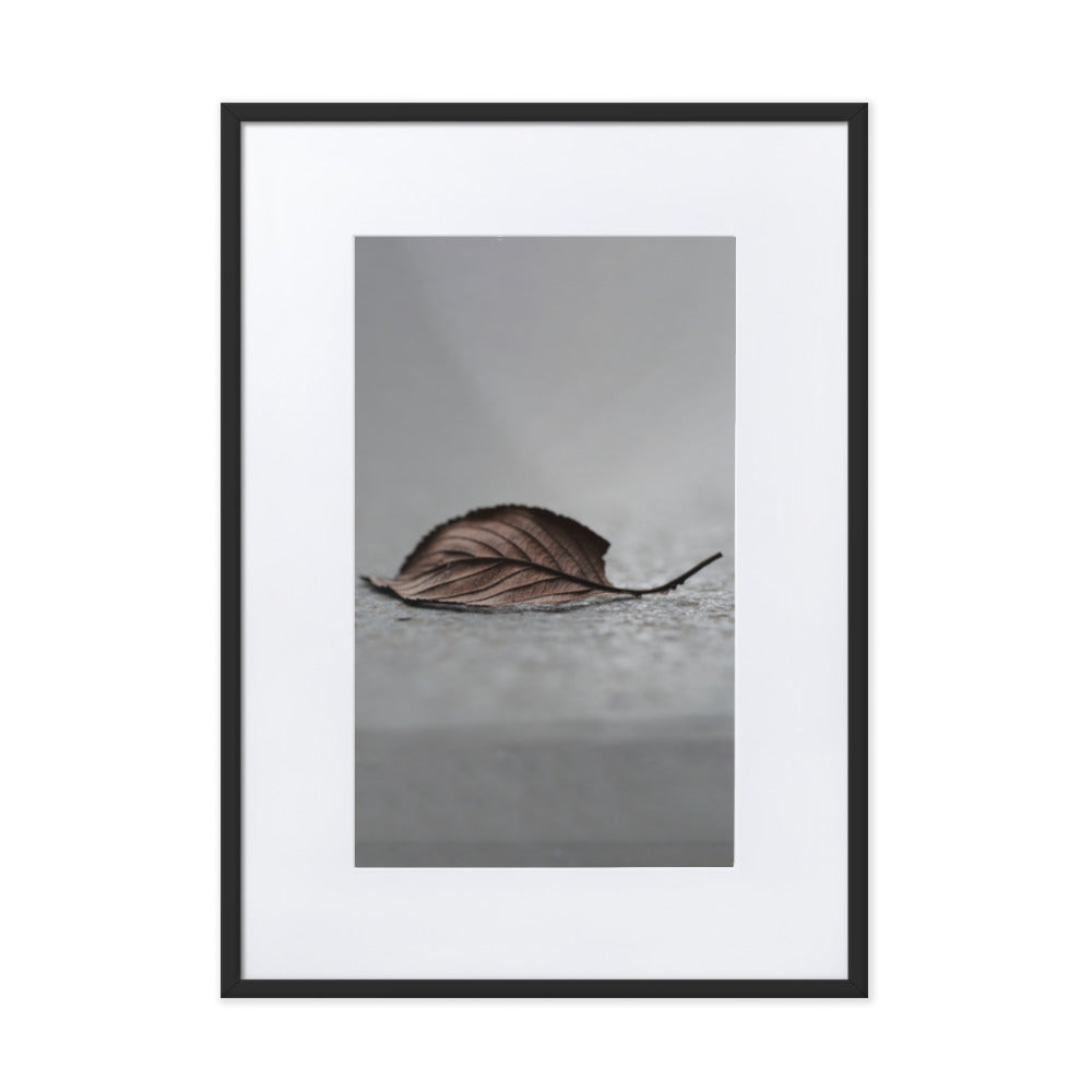 gefallenes Blatt - Poster im Rahmen mit Passepartout Schwarz / 50×70 cm artlia