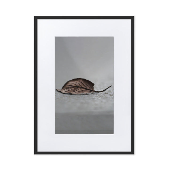 gefallenes Blatt - Poster im Rahmen mit Passepartout Schwarz / 50×70 cm artlia