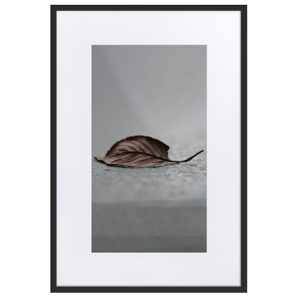 gefallenes Blatt - Poster im Rahmen mit Passepartout Schwarz / 61×91 cm artlia
