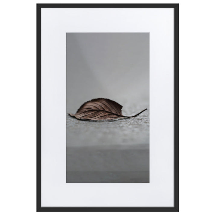 gefallenes Blatt - Poster im Rahmen mit Passepartout Schwarz / 61×91 cm artlia
