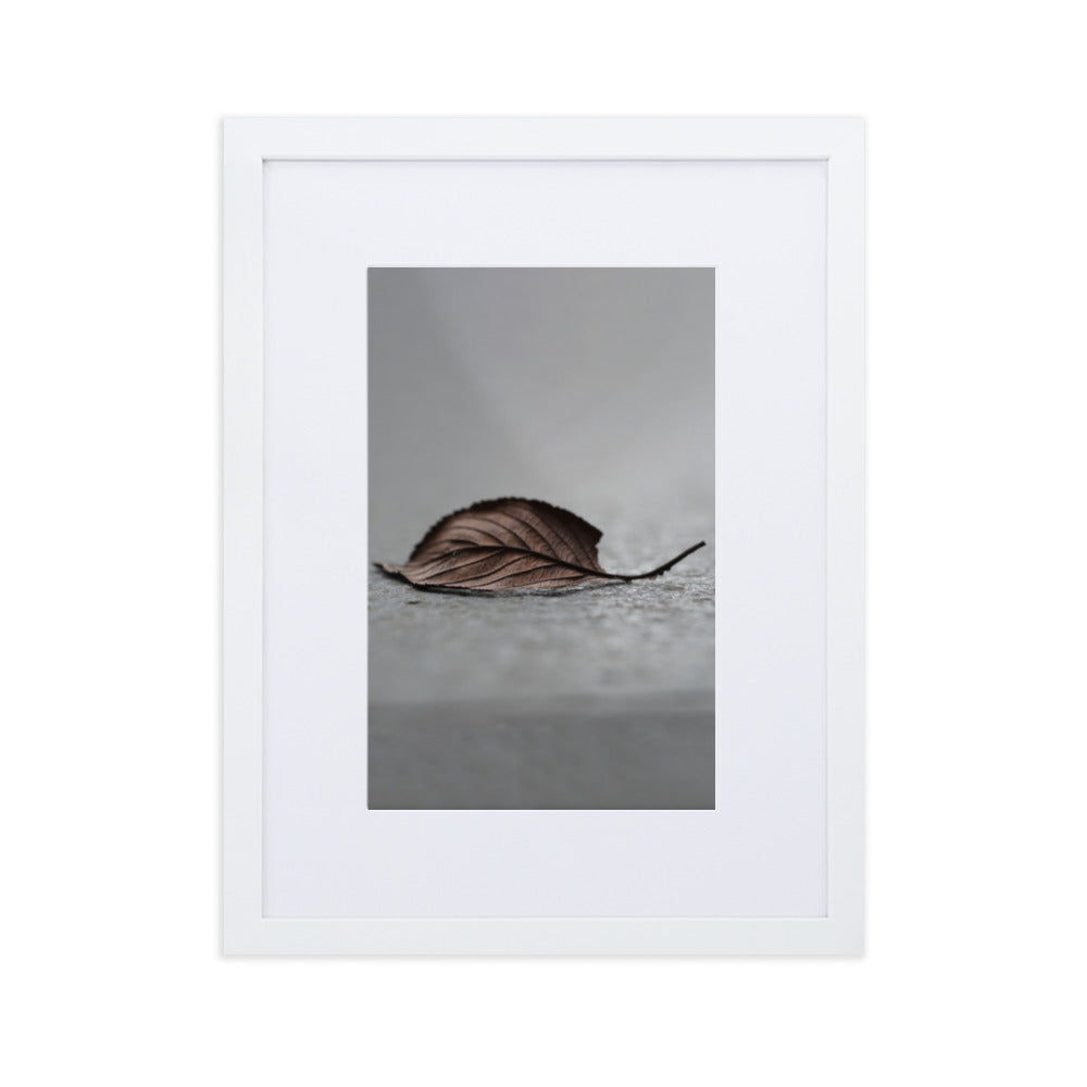 gefallenes Blatt - Poster im Rahmen mit Passepartout Weiß / 30×40 cm artlia