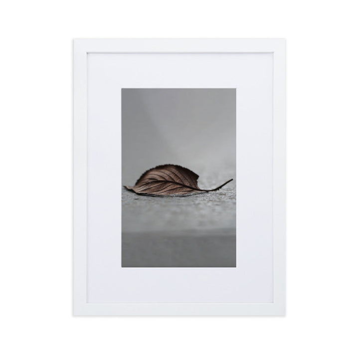 gefallenes Blatt - Poster im Rahmen mit Passepartout Weiß / 30×40 cm artlia