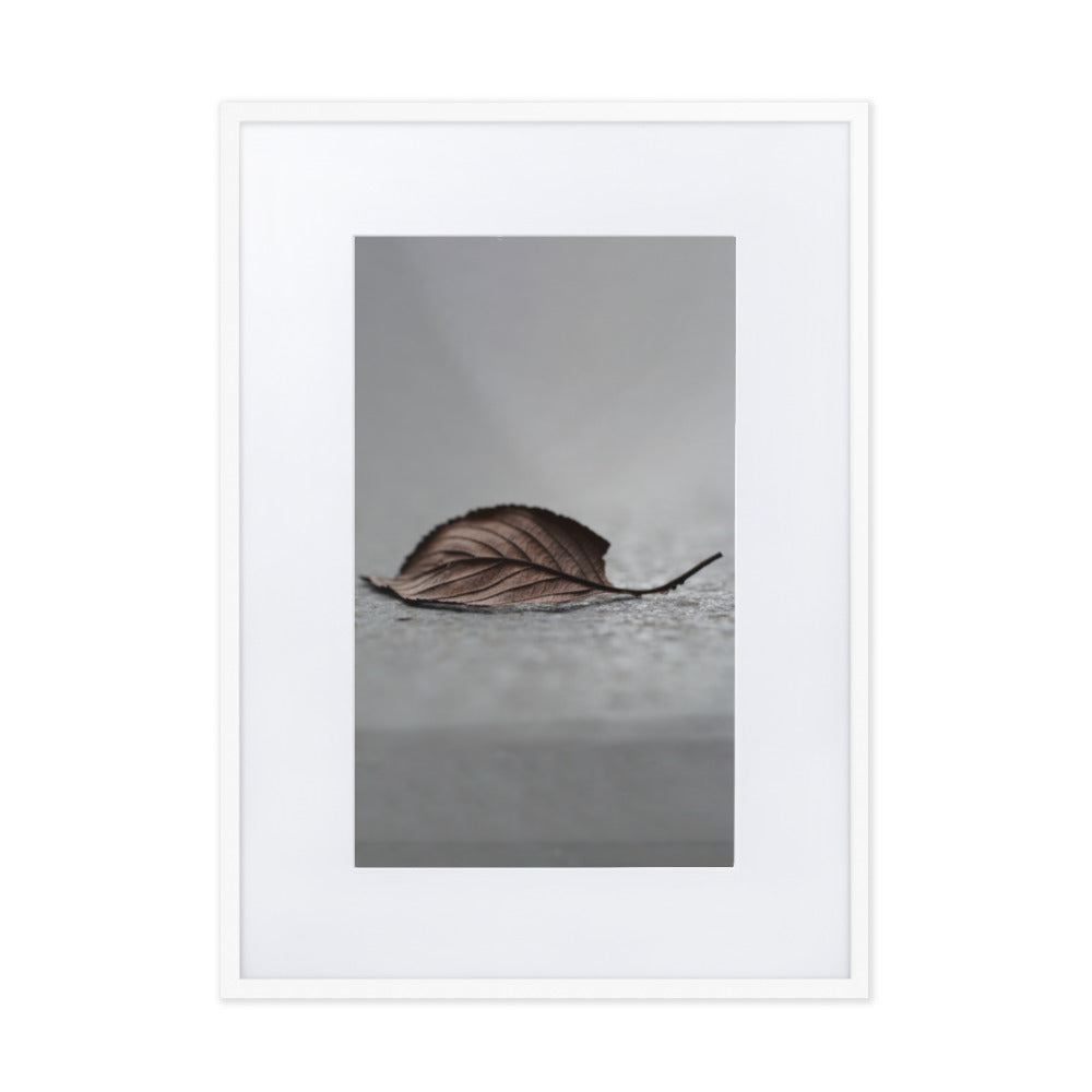 gefallenes Blatt - Poster im Rahmen mit Passepartout Weiß / 50×70 cm artlia
