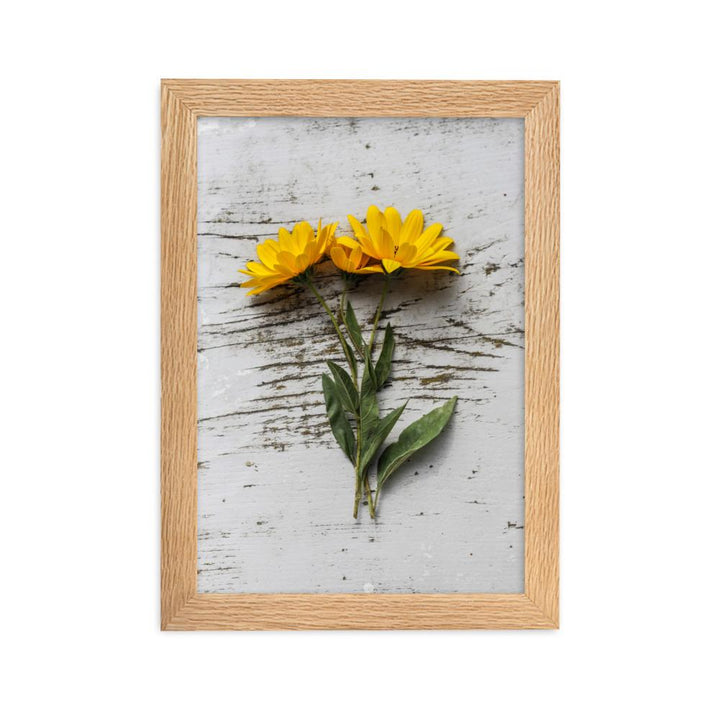 gelbe Blumen Yellow Flowers 6 - Poster im Rahmen Oak / 21×30 cm artlia