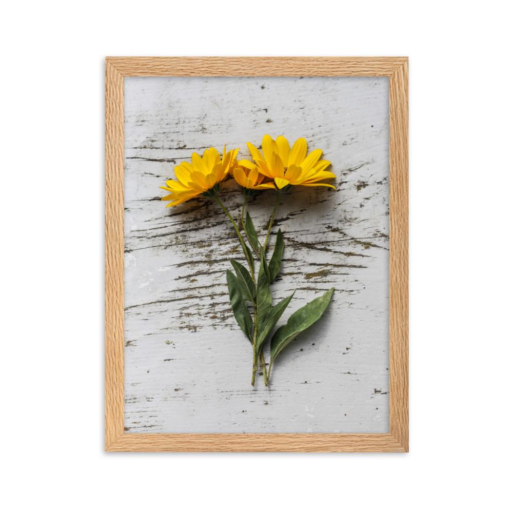 gelbe Blumen Yellow Flowers 6 - Poster im Rahmen Oak / 30×40 cm artlia