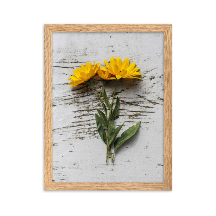 gelbe Blumen Yellow Flowers 6 - Poster im Rahmen Oak / 30×40 cm artlia