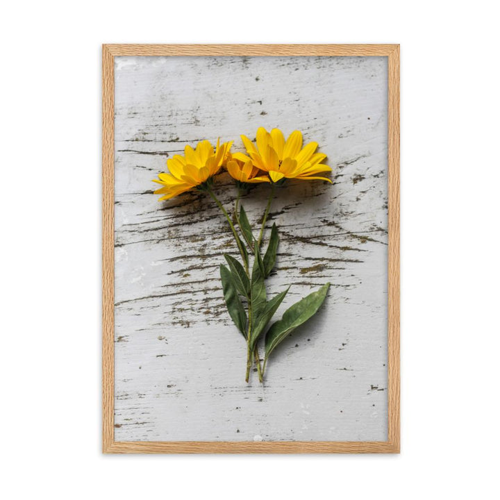 gelbe Blumen Yellow Flowers 6 - Poster im Rahmen Oak / 50×70 cm artlia