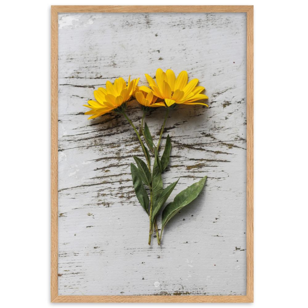 gelbe Blumen Yellow Flowers 6 - Poster im Rahmen Oak / 61×91 cm artlia