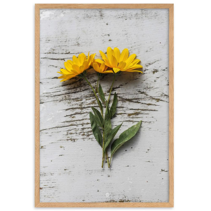 gelbe Blumen Yellow Flowers 6 - Poster im Rahmen Oak / 61×91 cm artlia
