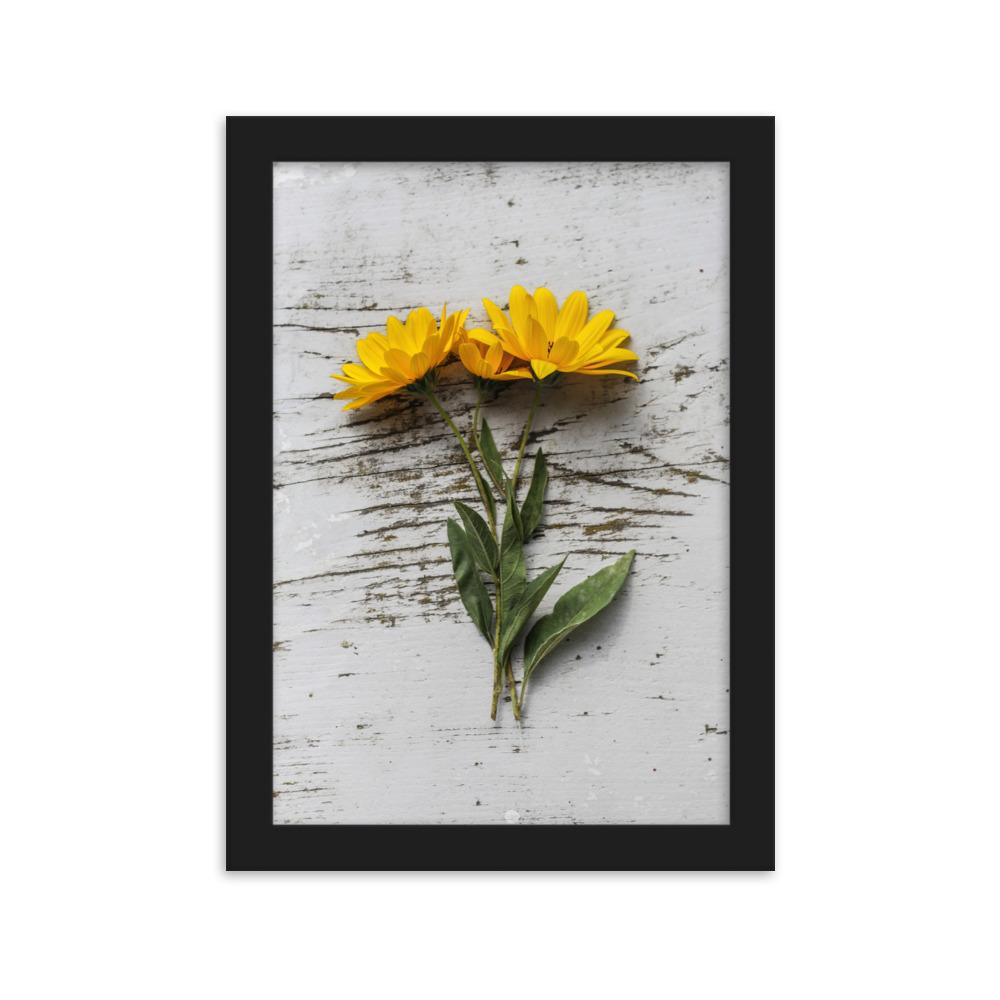 gelbe Blumen Yellow Flowers 6 - Poster im Rahmen Schwarz / 21×30 cm artlia