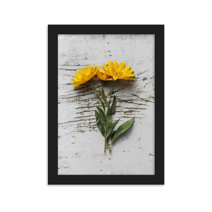 gelbe Blumen Yellow Flowers 6 - Poster im Rahmen Schwarz / 21×30 cm artlia