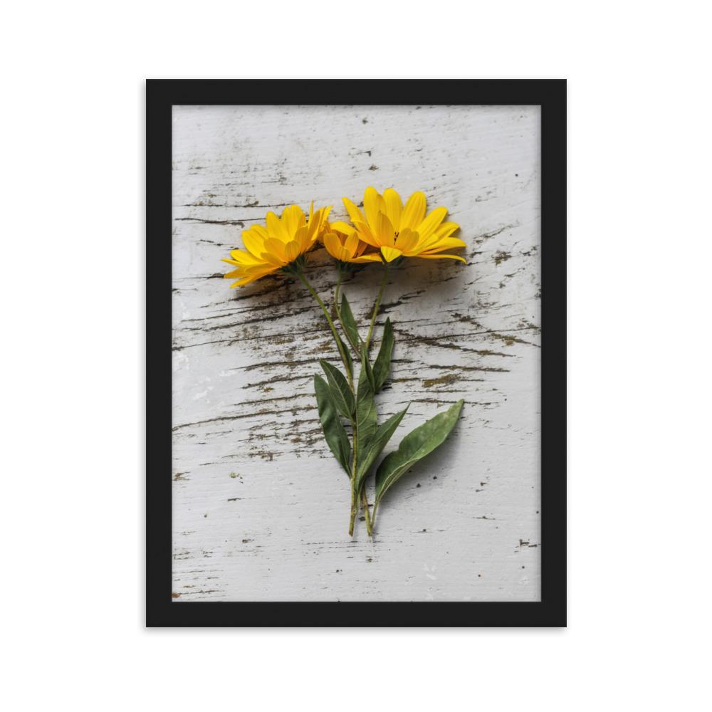 gelbe Blumen Yellow Flowers 6 - Poster im Rahmen Schwarz / 30×40 cm artlia