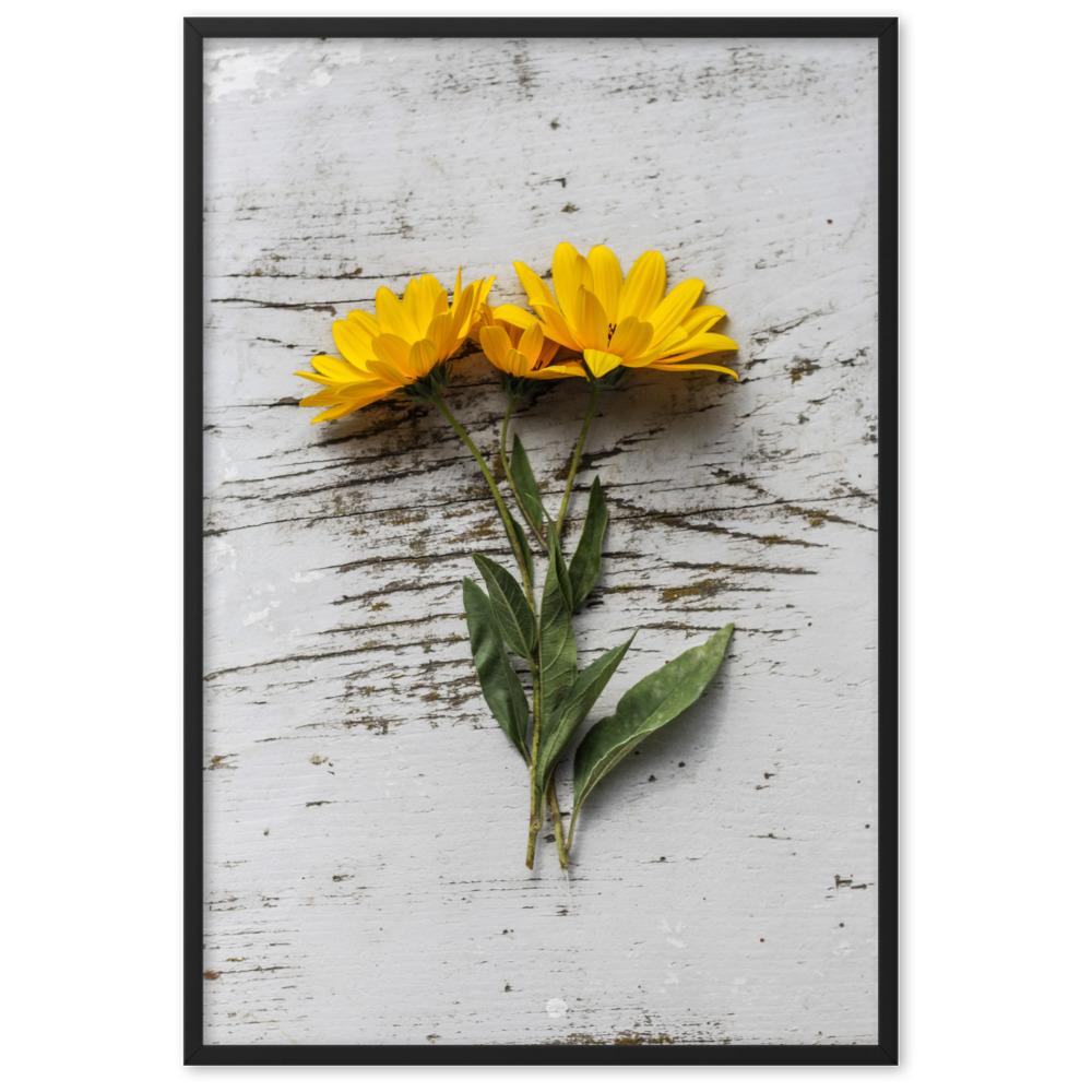 gelbe Blumen Yellow Flowers 6 - Poster im Rahmen Schwarz / 61×91 cm artlia
