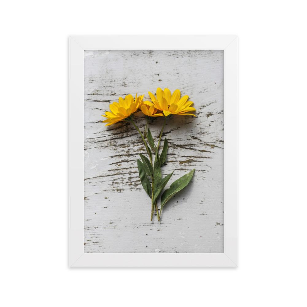 gelbe Blumen Yellow Flowers 6 - Poster im Rahmen Weiß / 21×30 cm artlia