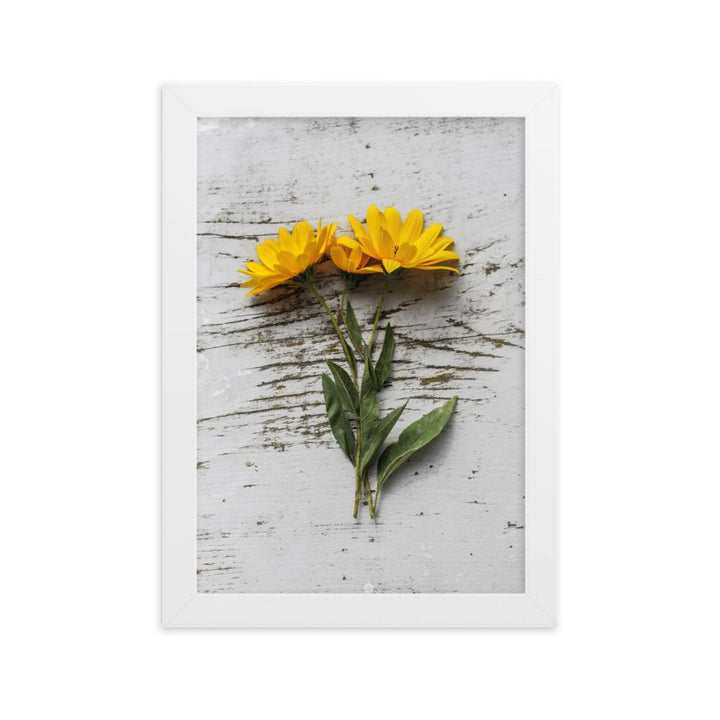 gelbe Blumen Yellow Flowers 6 - Poster im Rahmen Weiß / 21×30 cm artlia