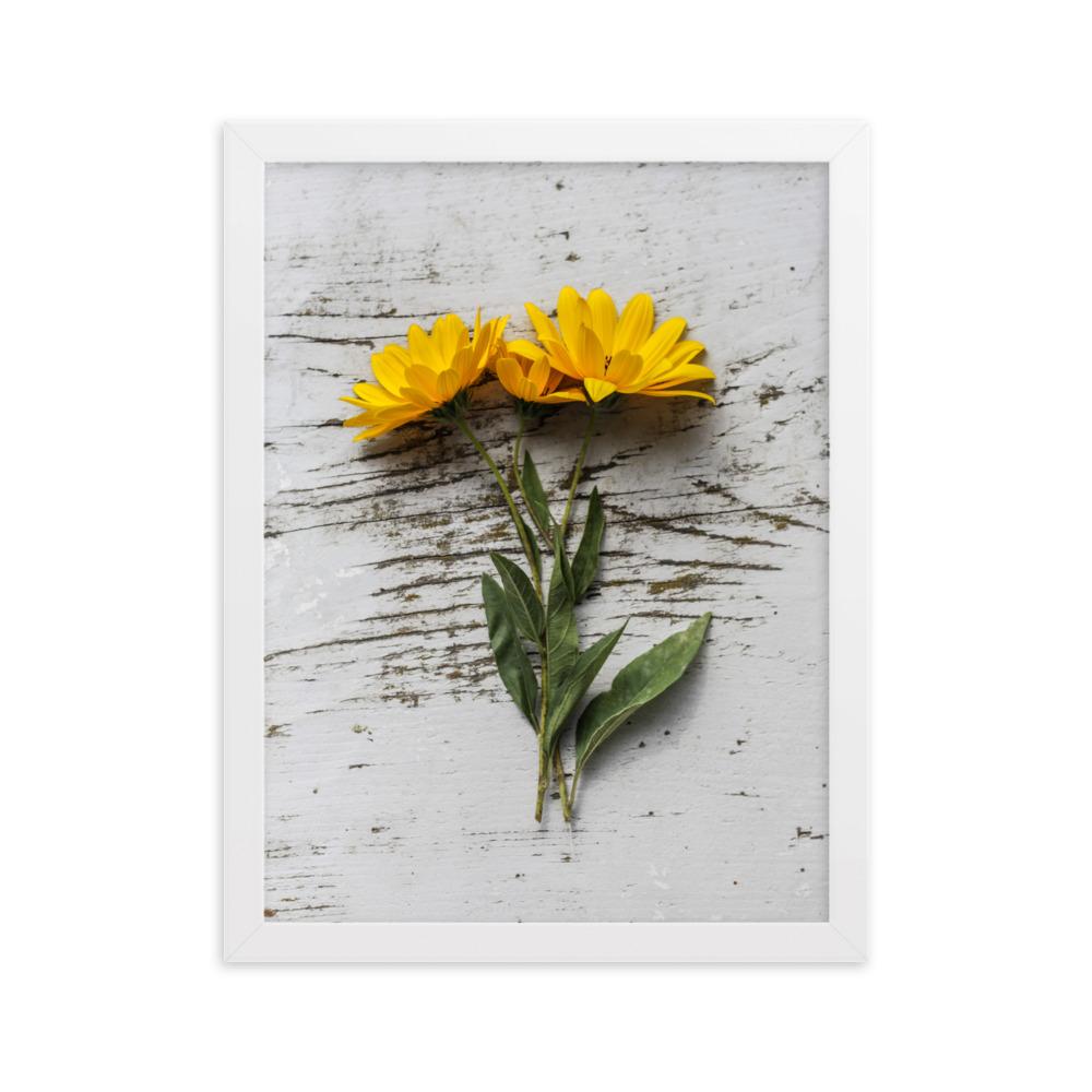 gelbe Blumen Yellow Flowers 6 - Poster im Rahmen Weiß / 30×40 cm artlia