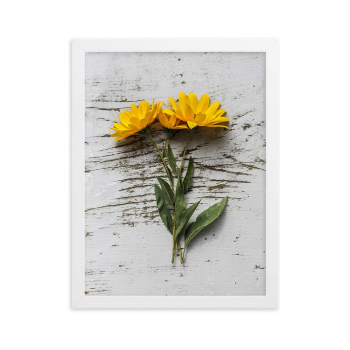 gelbe Blumen Yellow Flowers 6 - Poster im Rahmen Weiß / 30×40 cm artlia