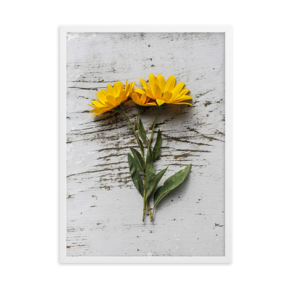 gelbe Blumen Yellow Flowers 6 - Poster im Rahmen Weiß / 50×70 cm artlia