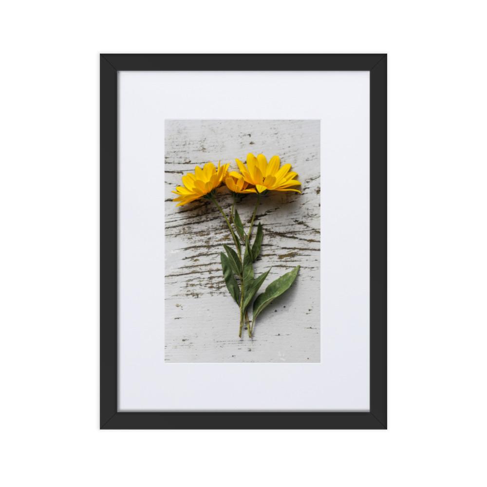 gelbe Blumen Yellow Flowers 6 - Poster im Rahmen mit Passepartout Schwarz / 30×40 cm artlia