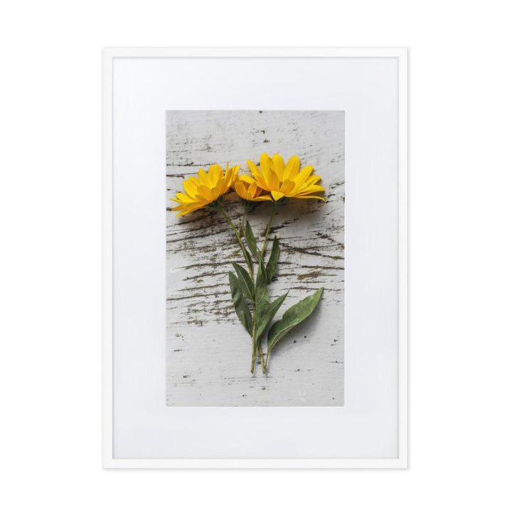 gelbe Blumen Yellow Flowers 6 - Poster im Rahmen mit Passepartout Weiß / 50×70 cm artlia