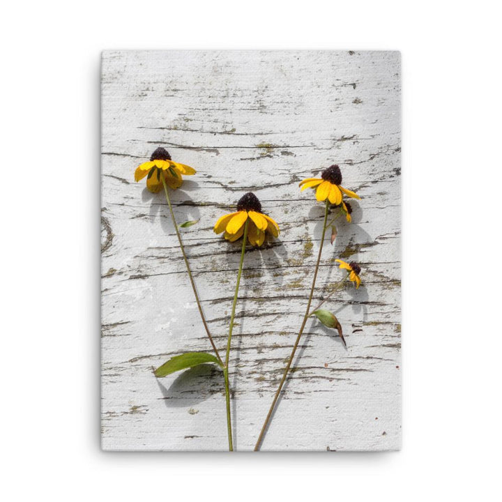 gelbe Blumen 7 - Leinwand 30x41 cm artlia