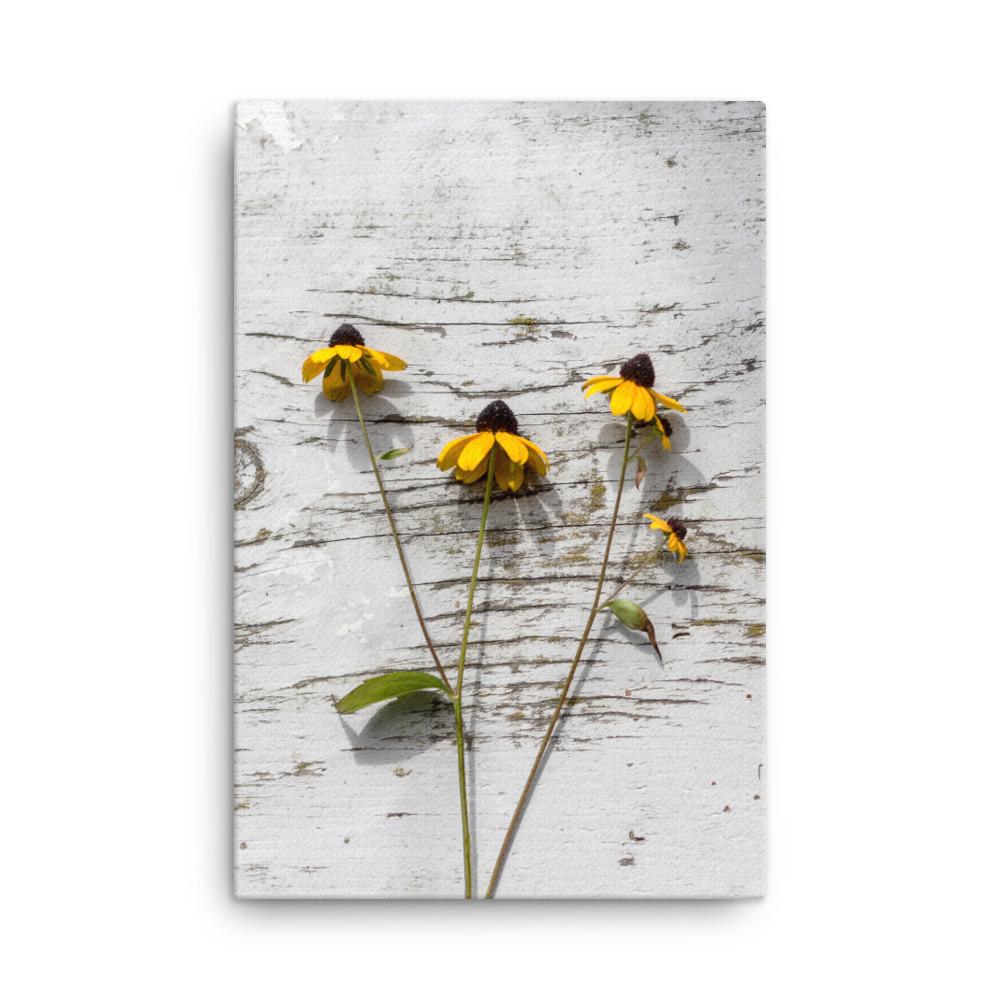 gelbe Blumen 7 - Leinwand 61x91 cm artlia
