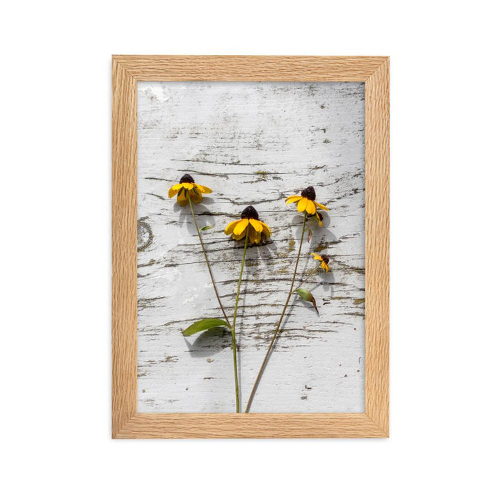 gelbe Blumen 7 - Poster im Rahmen Oak / 21×30 cm artlia
