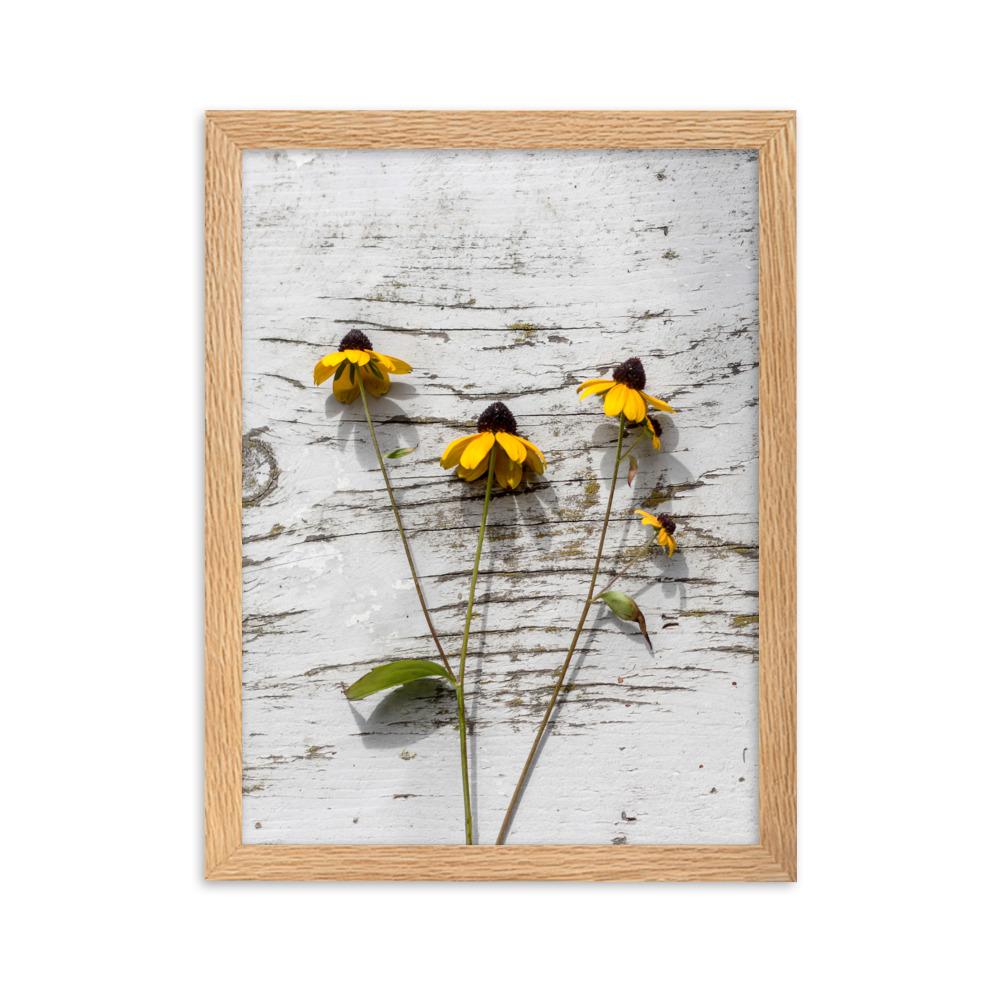 gelbe Blumen 7 - Poster im Rahmen Oak / 30×40 cm artlia