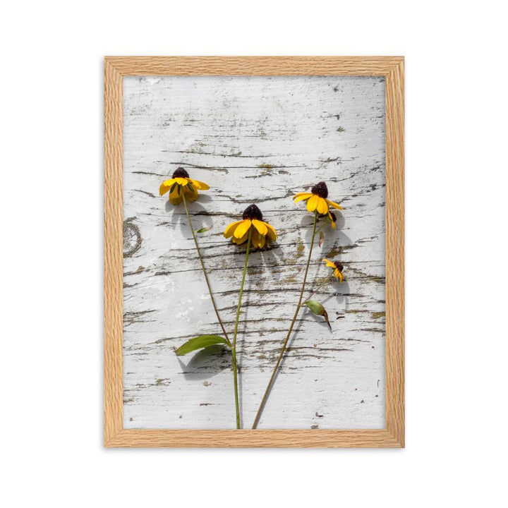 gelbe Blumen 7 - Poster im Rahmen Oak / 30×40 cm artlia