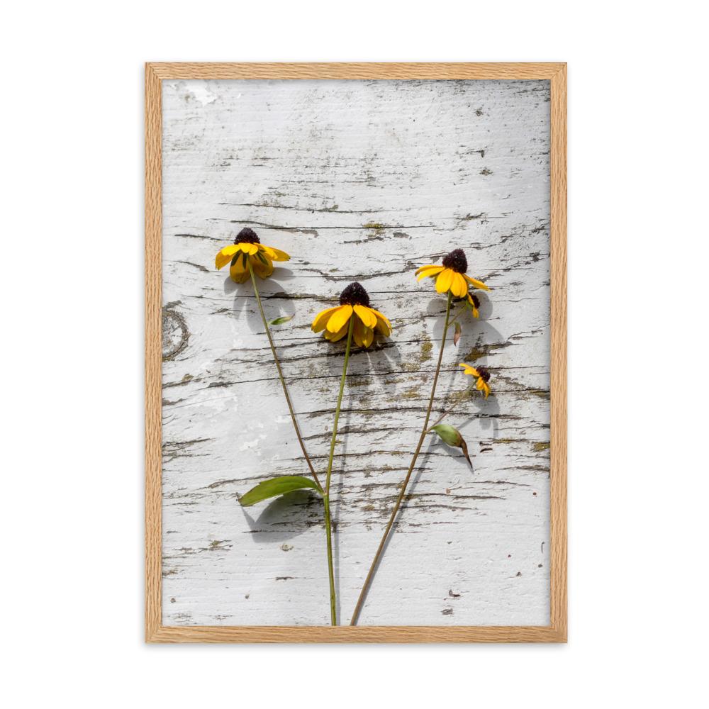 gelbe Blumen 7 - Poster im Rahmen Oak / 50×70 cm artlia