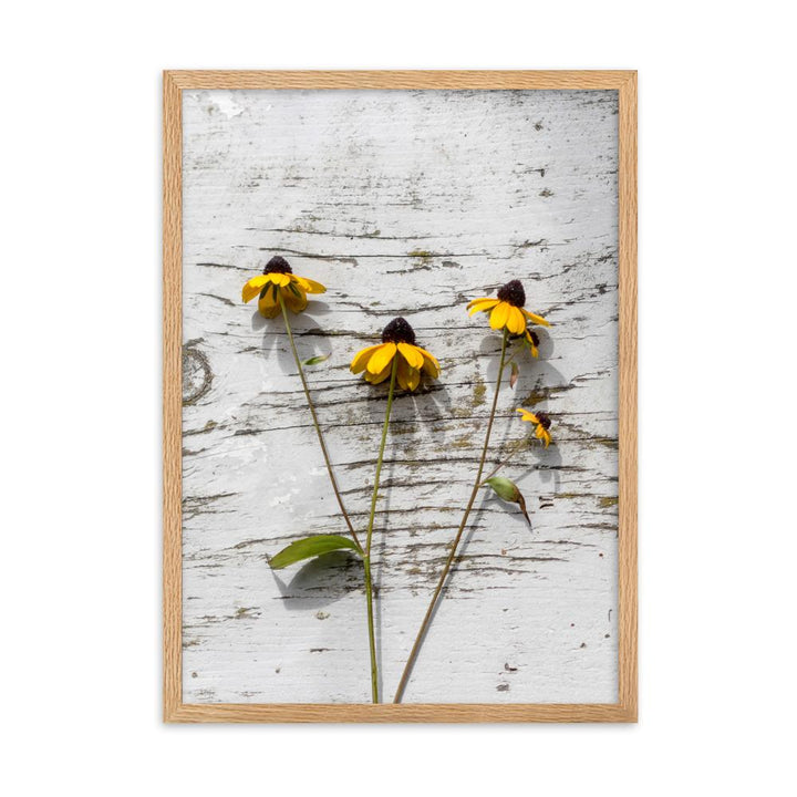 gelbe Blumen 7 - Poster im Rahmen Oak / 50×70 cm artlia