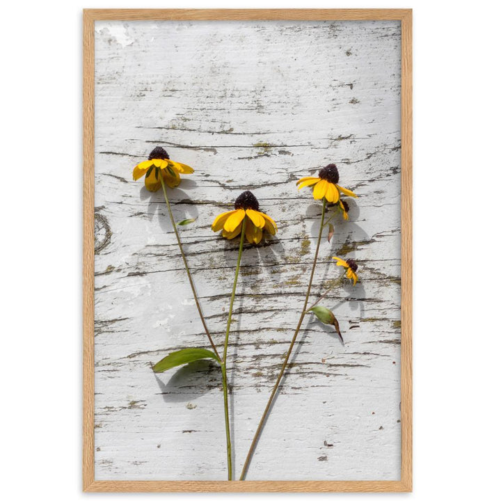 gelbe Blumen 7 - Poster im Rahmen Oak / 61×91 cm artlia