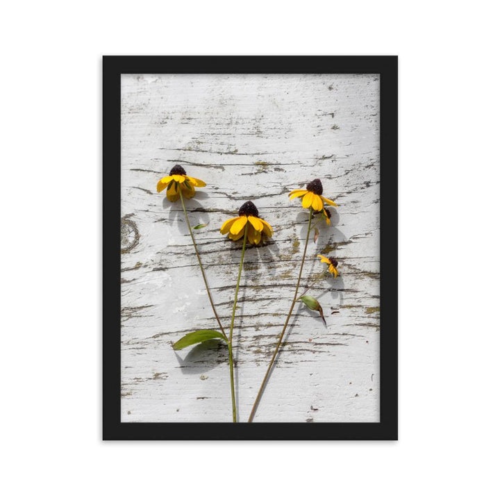 gelbe Blumen 7 - Poster im Rahmen Schwarz / 30×40 cm artlia