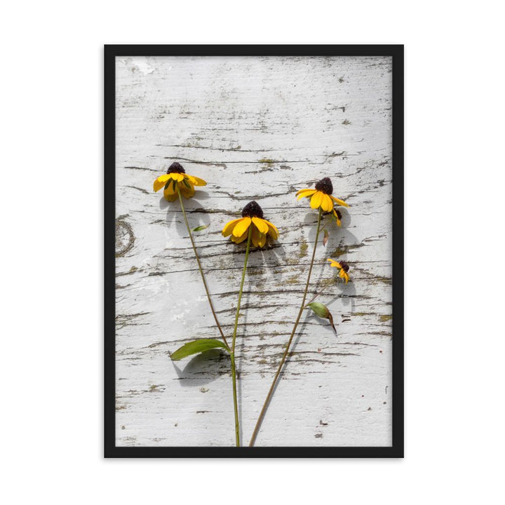 gelbe Blumen 7 - Poster im Rahmen Schwarz / 50×70 cm artlia