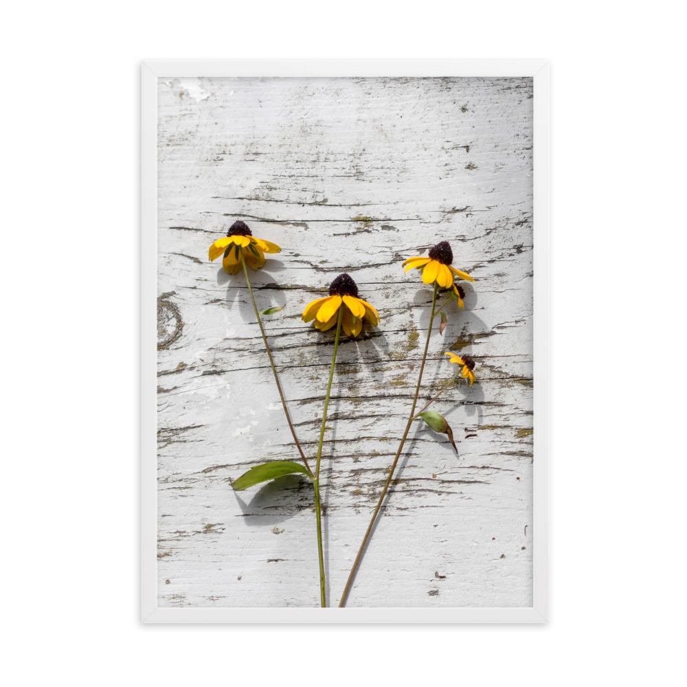 gelbe Blumen 7 - Poster im Rahmen Weiß / 50×70 cm artlia